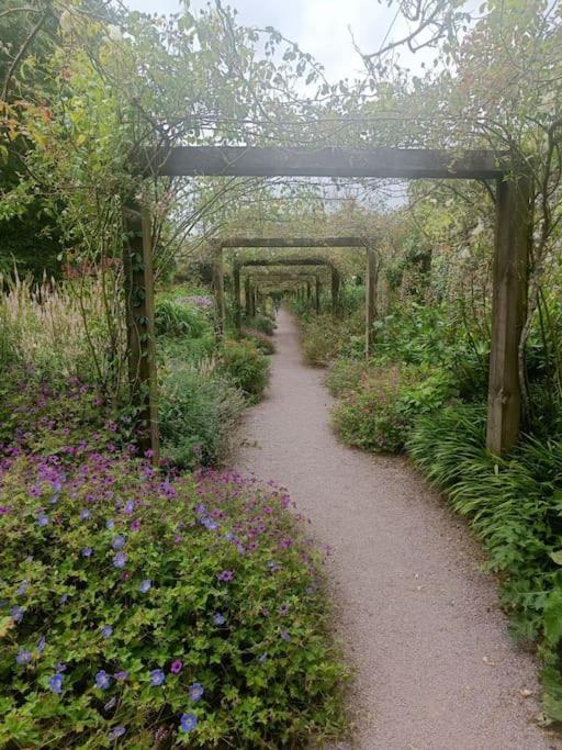 Foxhollow House Blarney Luaran gambar