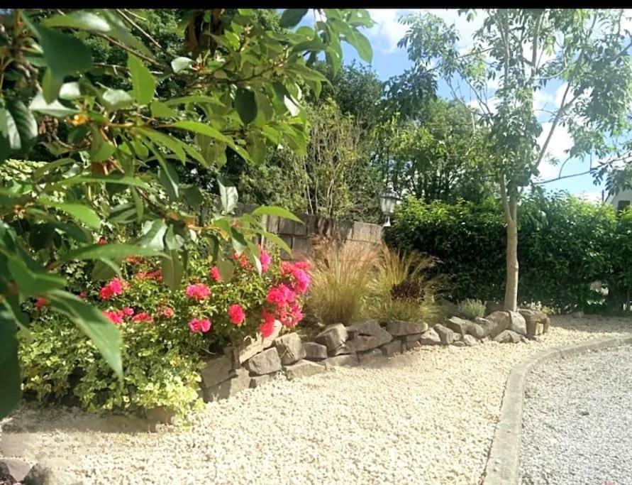 Foxhollow House Blarney Luaran gambar