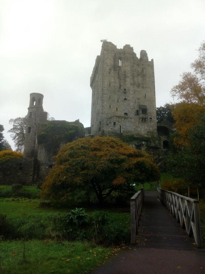 Foxhollow House Blarney Luaran gambar